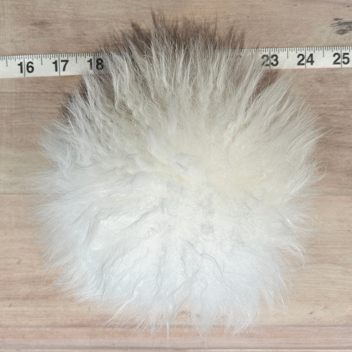 White Lamb Pom, 7 Inch