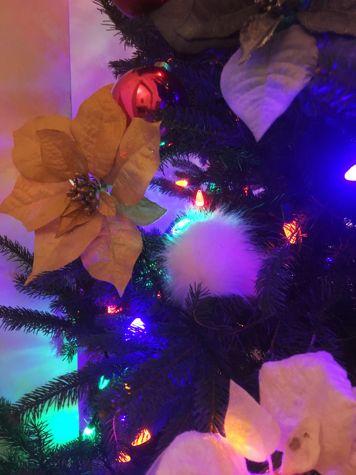 A close-up of a decorated Christmas tree with artificial white poinsettias, a fluffy white ornament, and multicolored string lights casting purple, blue, and green glow.