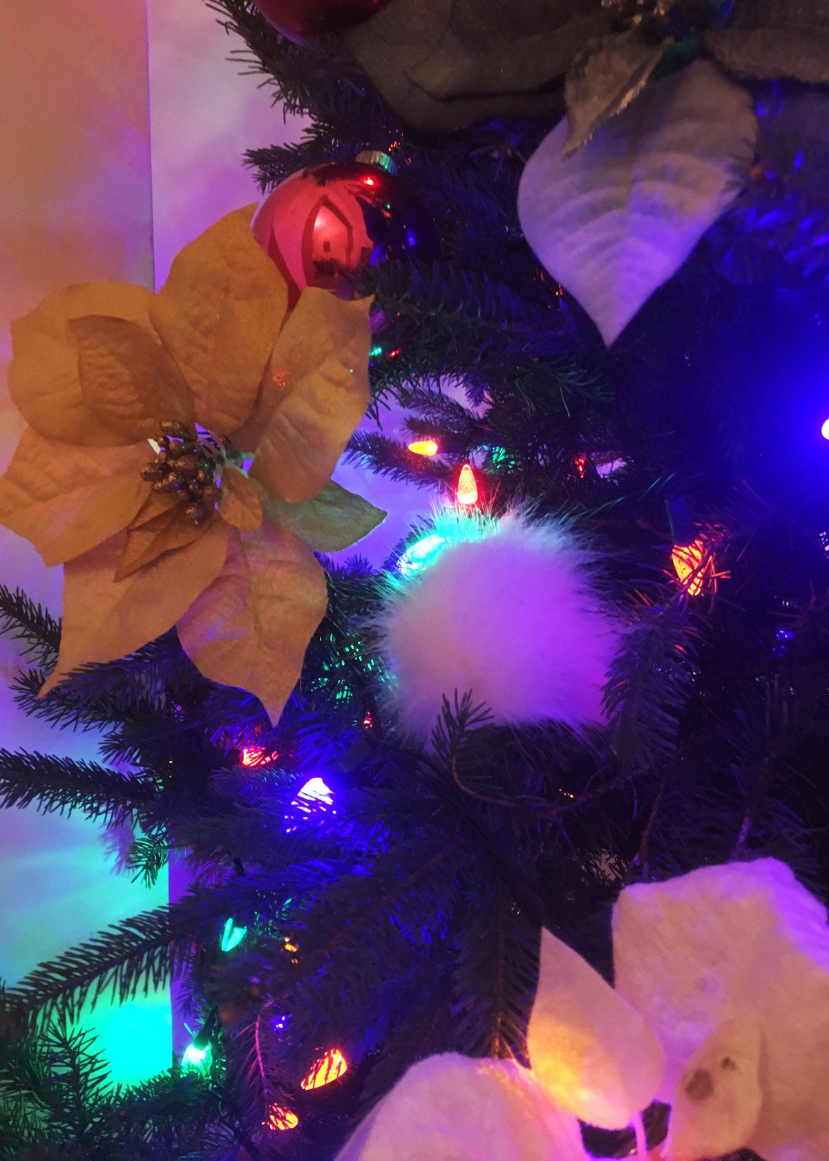 A close-up of a decorated Christmas tree with artificial white poinsettias, a fluffy white ornament, and multicolored string lights casting purple, blue, and green glow.