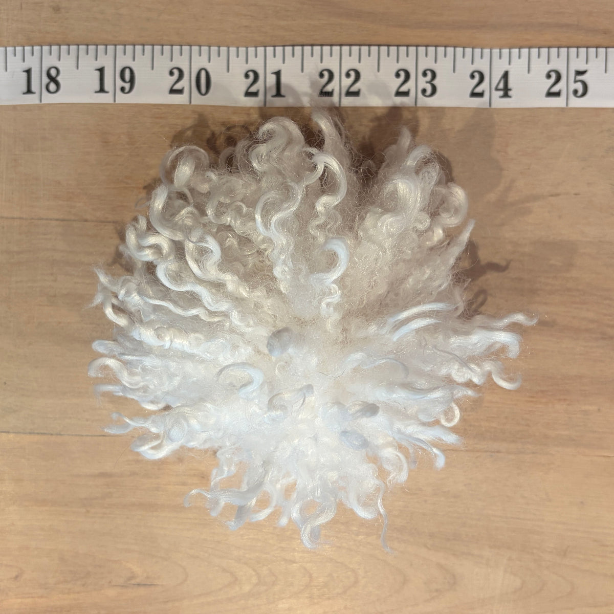 A curly white hat pom, displayed on a light wood surface with a 18-inch tape measure at the top for scale.
