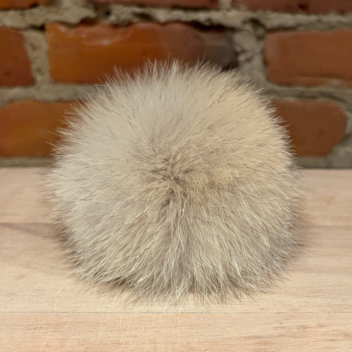 A fluffy pom-pom ball in light beige coyote fur, resting on a light wood surface with a rustic red brick wall background.
