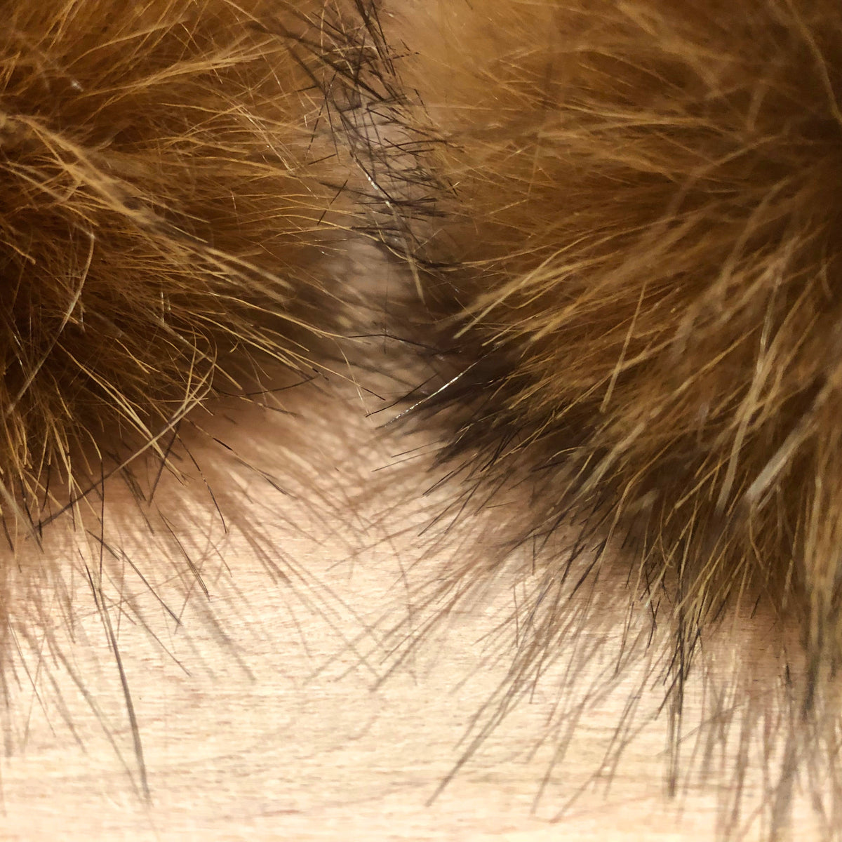 Golden Beige Coyote Faux Fur Pom, 5.5 Inch
