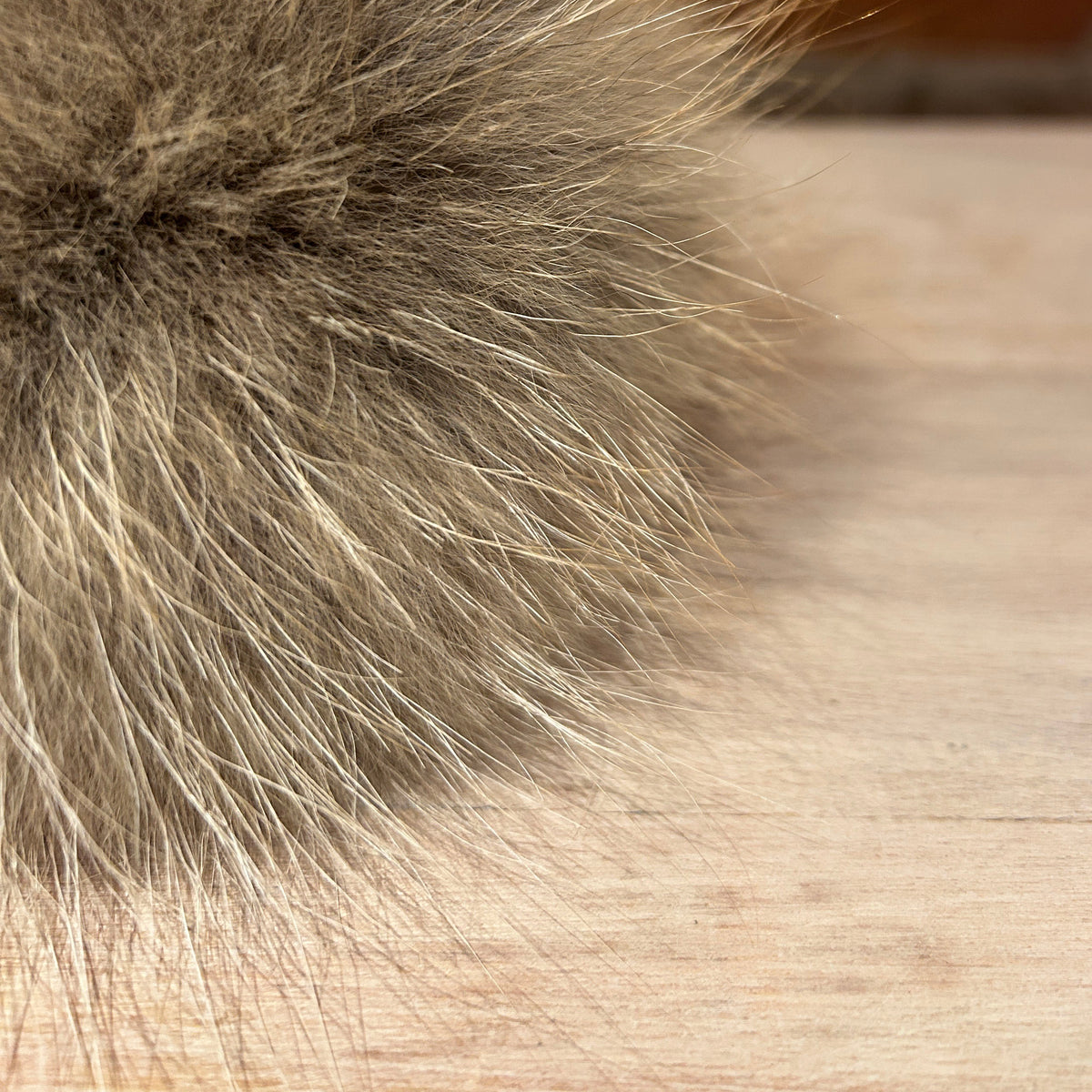 A close-up of a fluffy Coyote fur pom-pom in shades of brown, beige, and gray, resting on a light wood surface with a blurred brick wall background.