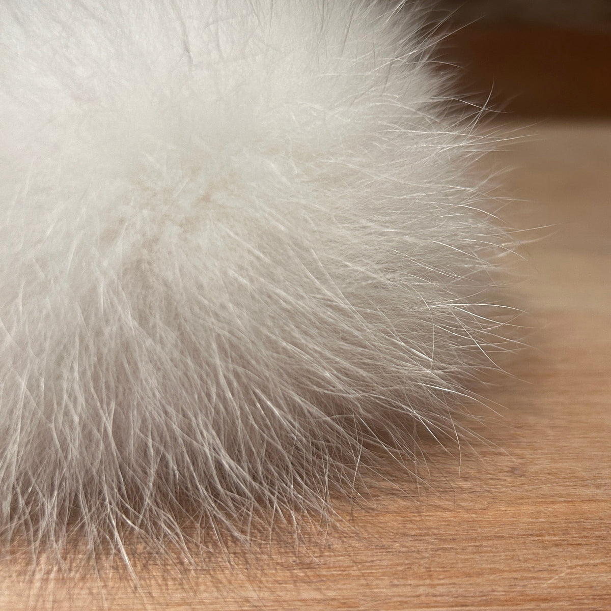 A close-up of a fluffy white fox fur pom-pom resting on a wooden surface with a blurred brick wall background.