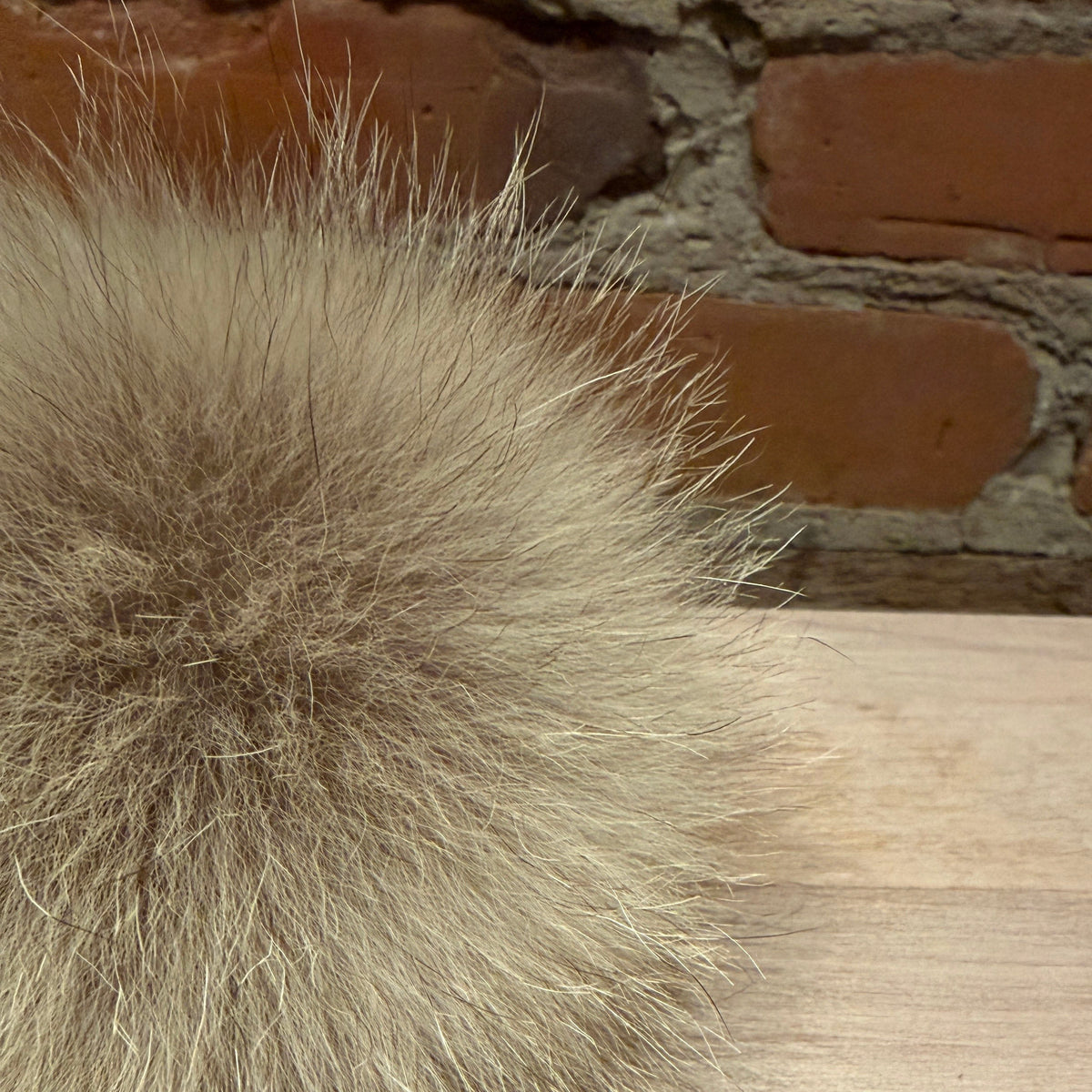 A close-up of a fluffy coyote fur pom-pom in a light taupe-gray color, resting on a light wood surface with a rustic red brick wall in the background.