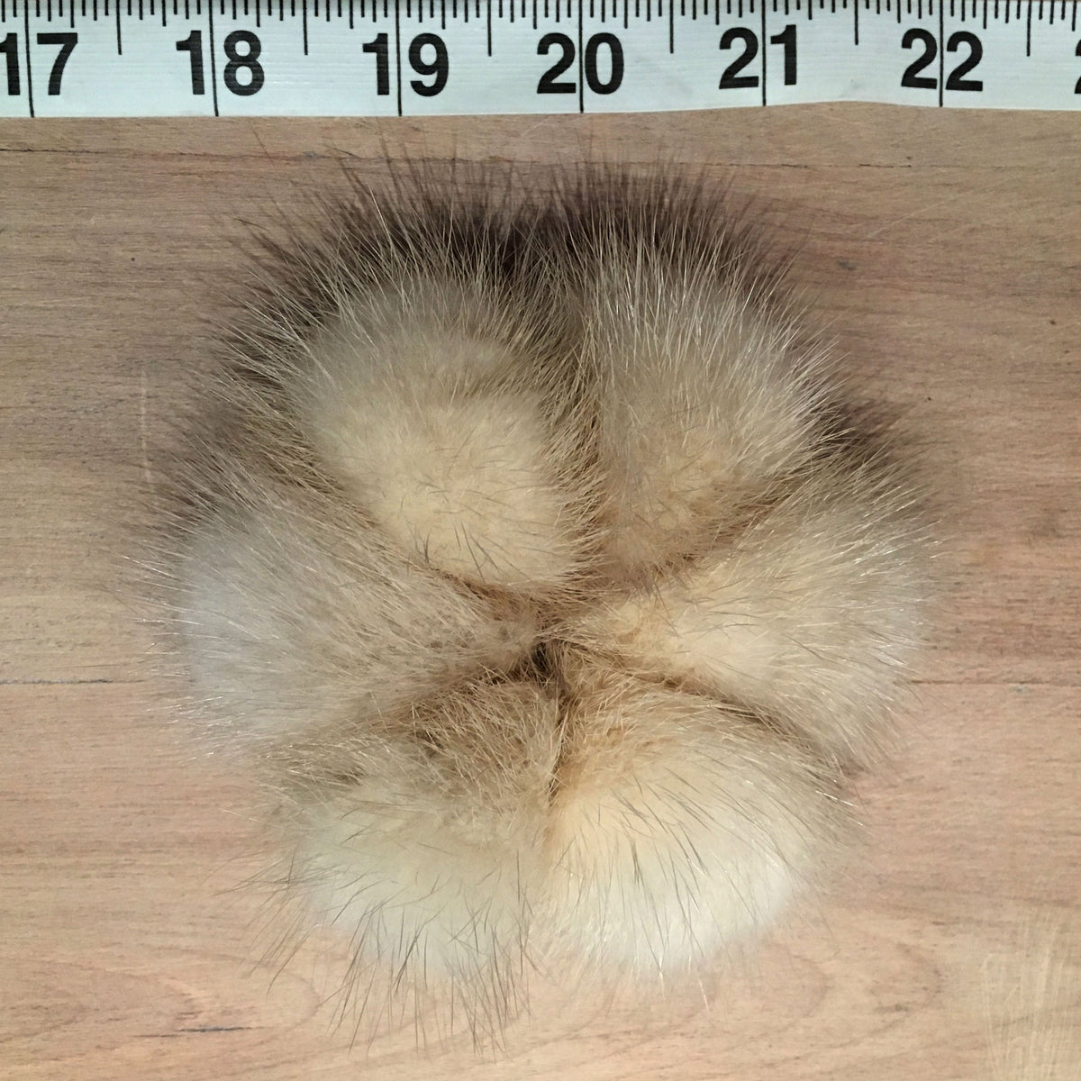 A fluffy mink fur pom-pom accessory in shades of beige, cream, and brown, shown on a wooden surface with a measuring tape ruler at the top for scale.