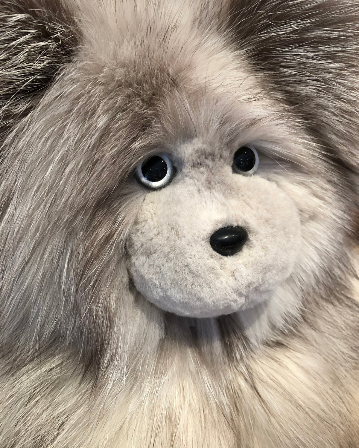 Moon, the Platinum Shadow Fox Teddy Bear