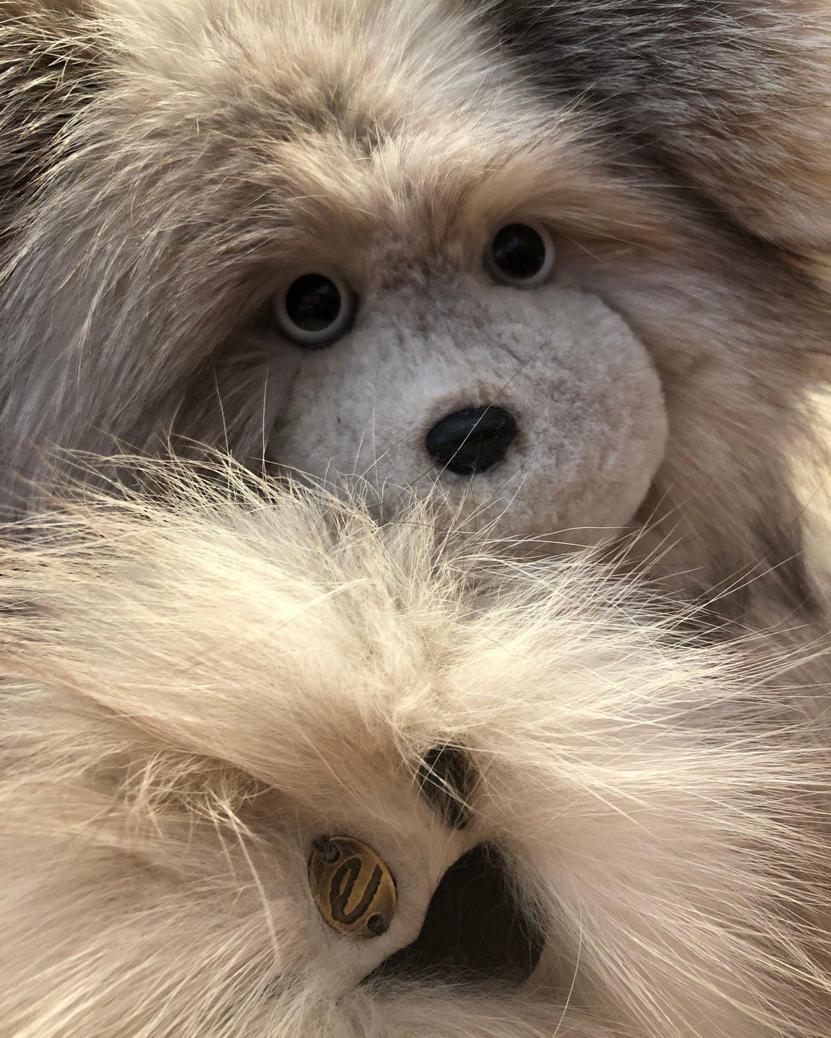 Moon, the Platinum Shadow Fox Teddy Bear