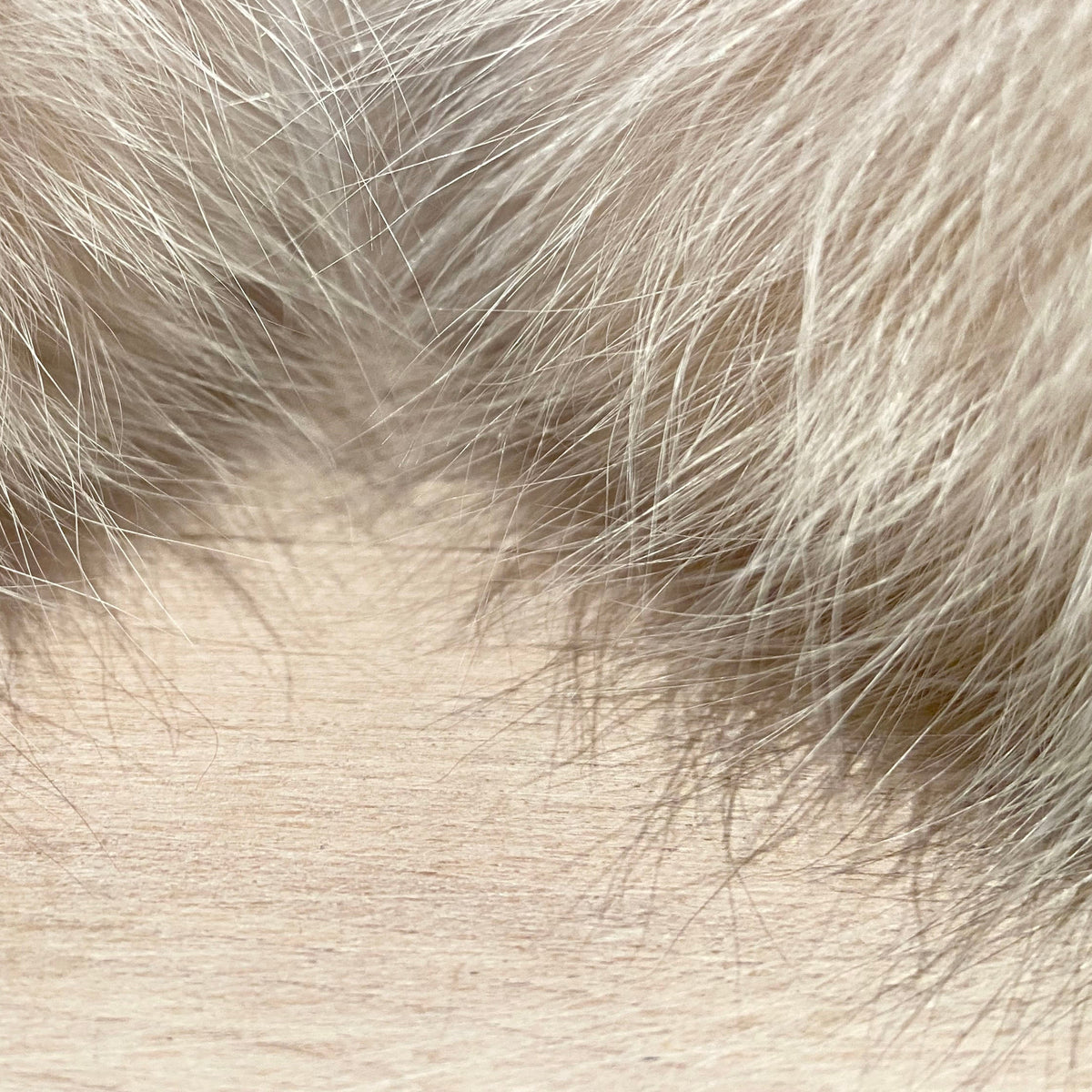 Ivory Peach Fox Fur Pom, 5 Inch
