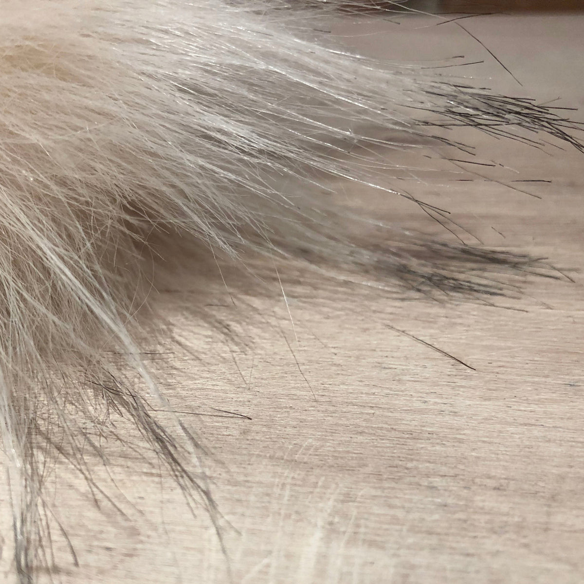 A close-up of a light beige faux fur or sheepskin material with soft, fluffy fibers and darker stray hairs, laid flat on a neutral surface.